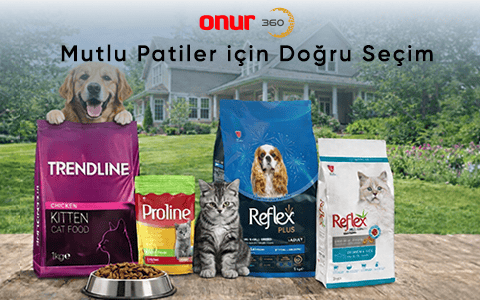 GimCat Petshop